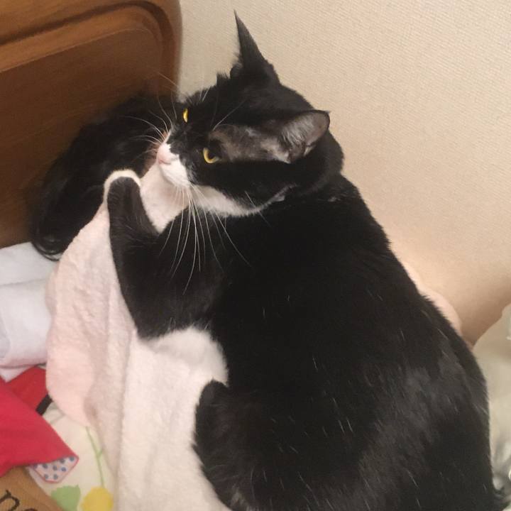 5dccd286 78c2 4e02 b13f 4540f833a287 1587527661969