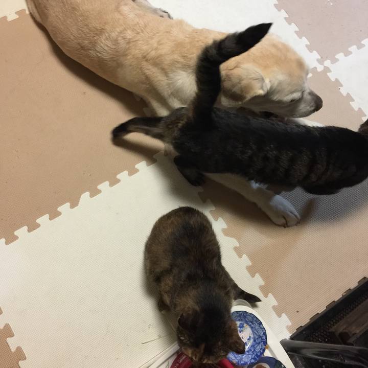 5dccd79e d3e8 4941 99b5 61db08d7553e 1530705007366