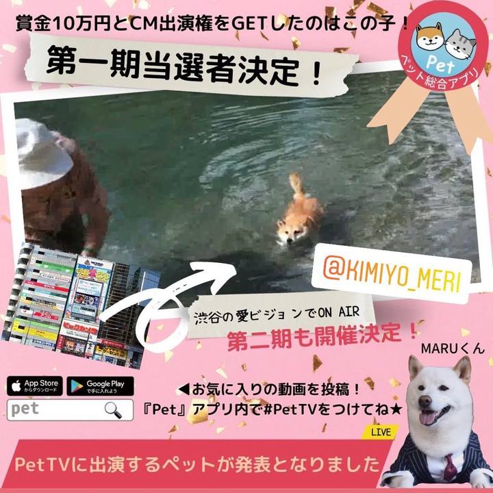 5dccda8c 952f 41b5 bceb 7866076d1e4e 1649196450954