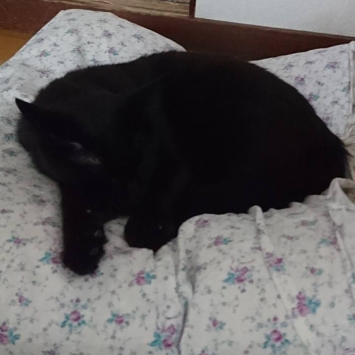 5dcce3fb 8da2 4629 89e3 04bce81bba3d 1525235445857