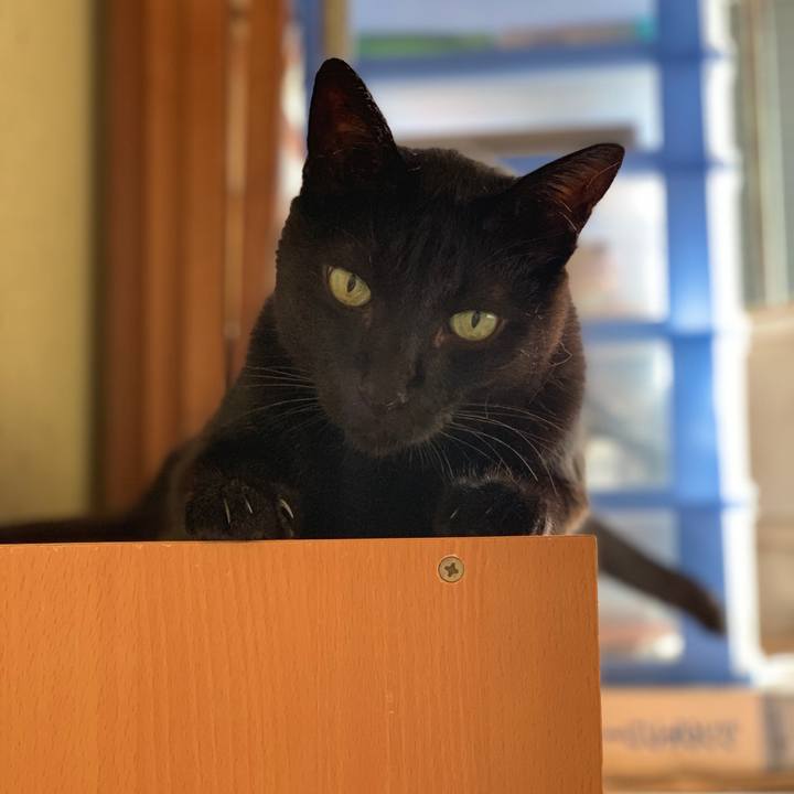 5dcce5e5 c79a 4316 a25b 7d2106416baa 1565742602278