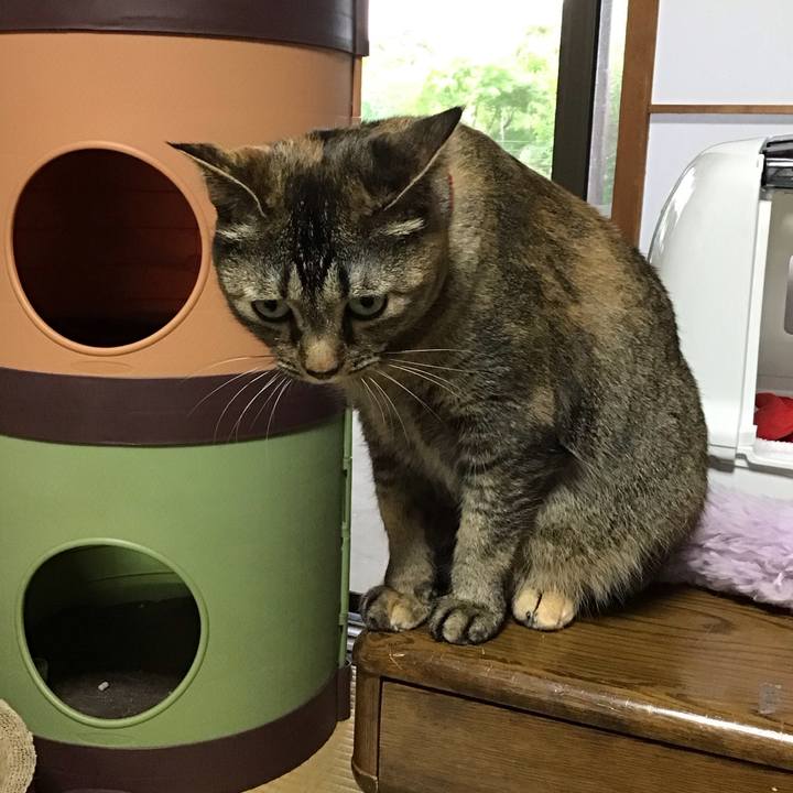 5dcd3fff 6391 438a a4dd f4772be914ba 1684753542367