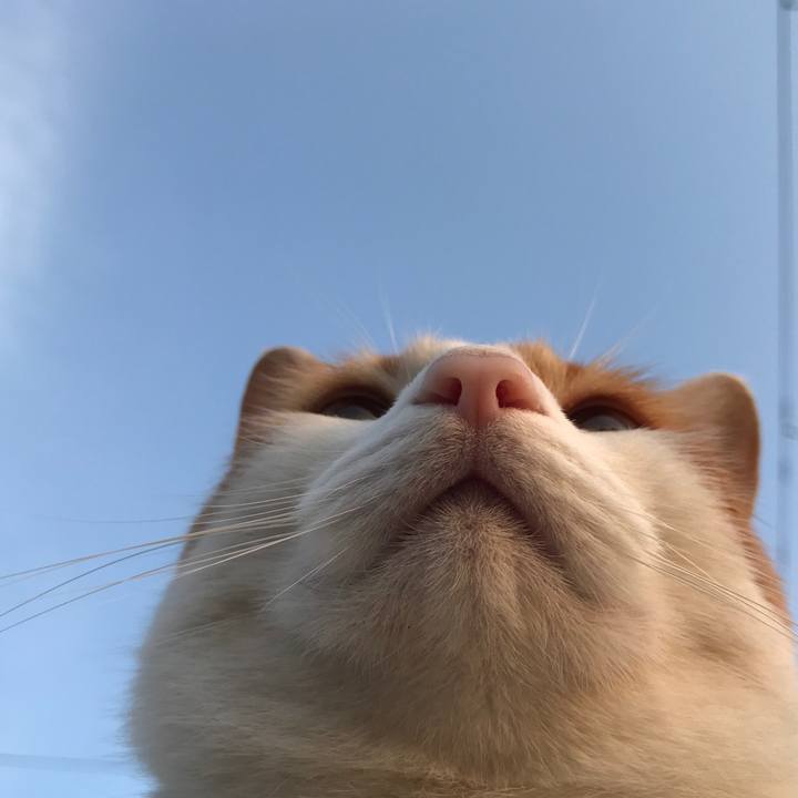 5dcd5993 64b5 4b25 8c0d 532ed8f6f5be 1528365501486