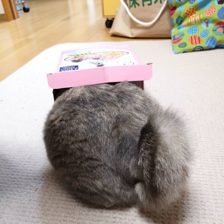 5dcd64f3 04ba 40cc 8c59 23891c89acf9 1558188691518