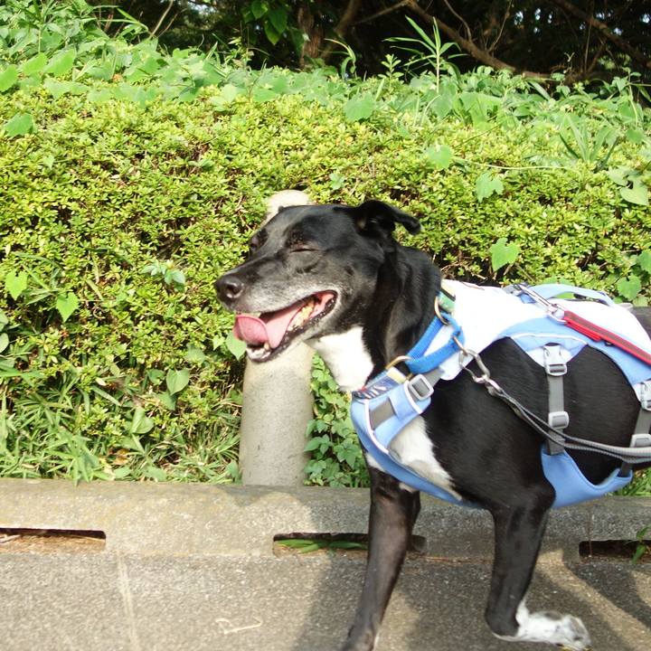 5dcd6d9e a91c 4d90 9c72 4ef886bdba3c 1691193127624