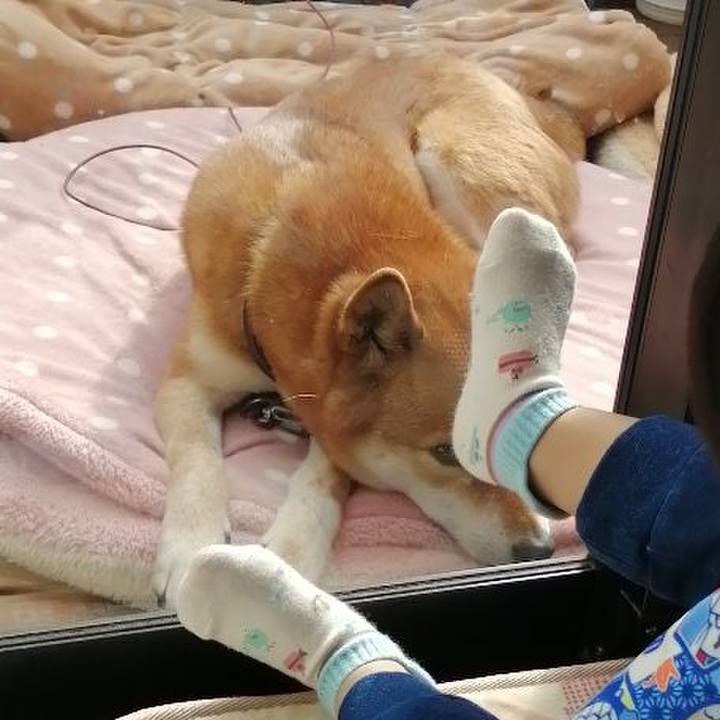 5dcd77cc d705 43ba a03d 066517f13391 1613544018426