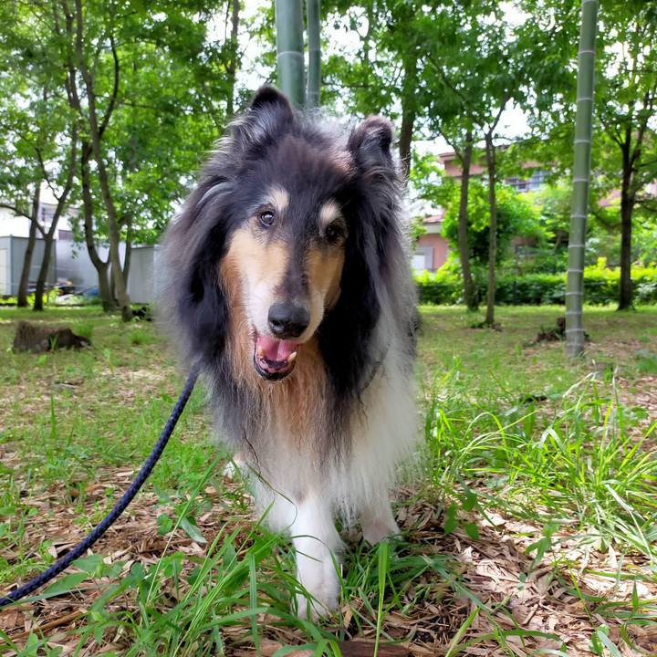 5dcd7f09 dde7 4770 a920 81815f5cd20b 1626006153977