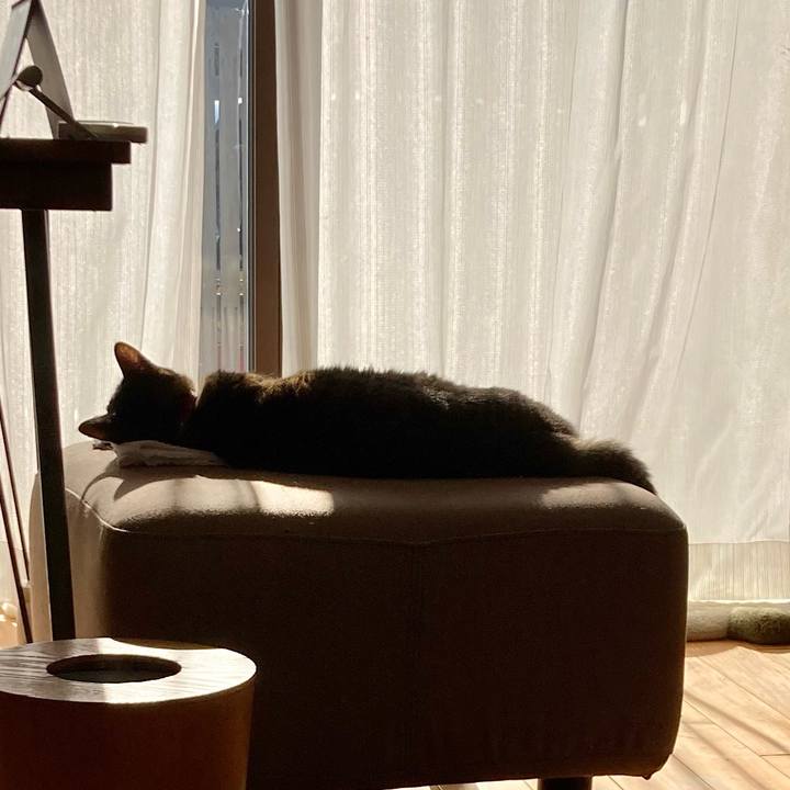 5dcd962e 7ead 4ddb bf06 178965c40fbf 1642825772194