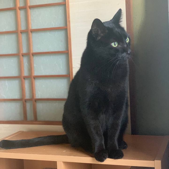 5dcdcc21 09d0 4bfd a56b 8b0e6d806d18 1576718901090