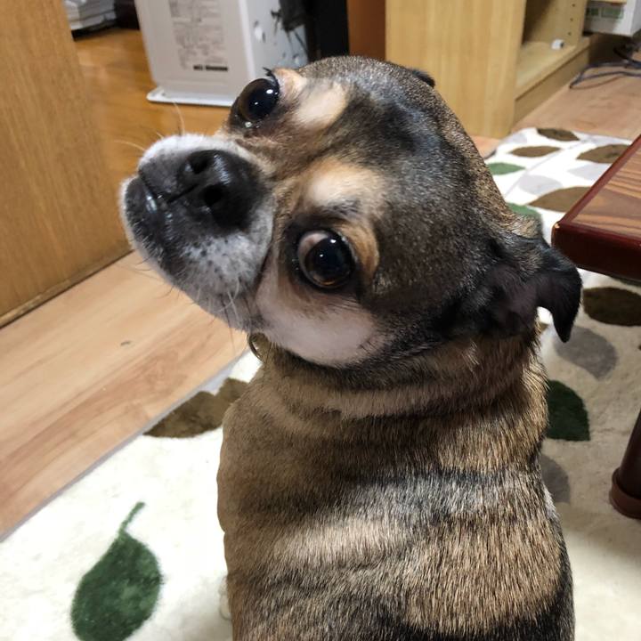 5dcddcfb 311a 41ad b8c5 39ca67afb26f 1517036880392