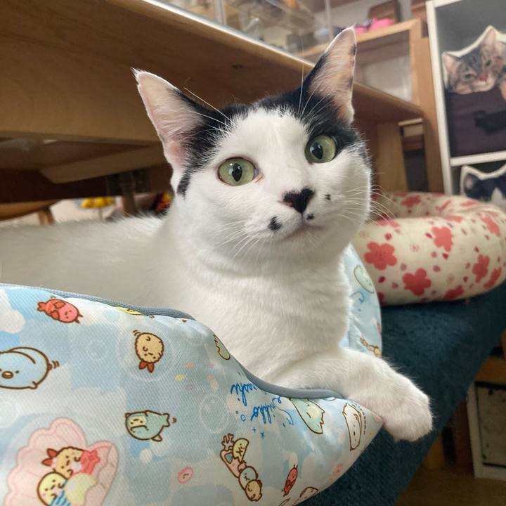 5dcdf7a6 4e63 4998 855c b1e7f9157370 1757115258164