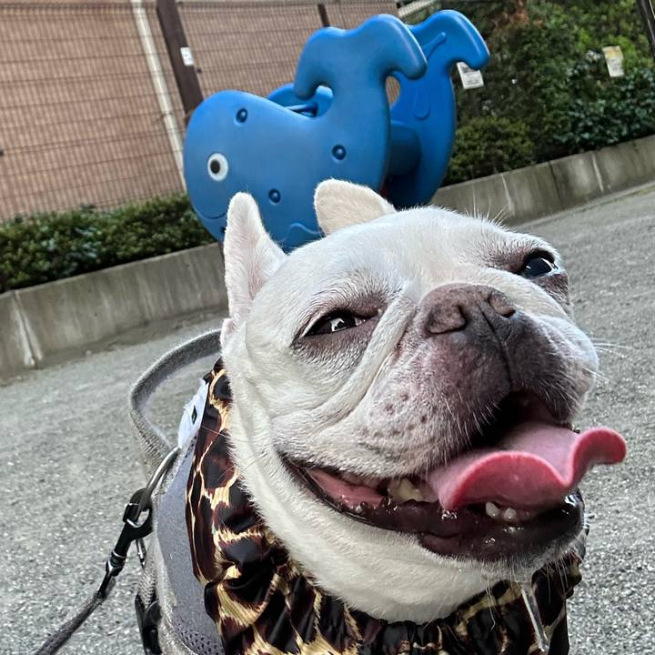 5dce6c78 93f4 47cb 8e0a c12daac8220e 1689143816383