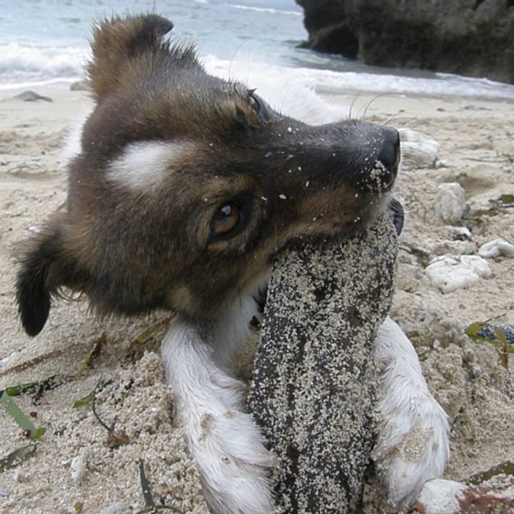 5dce76b7 bdd5 472d a934 e124168dbed1 1524478426936