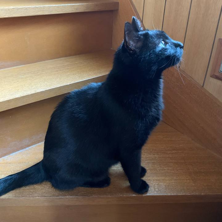 5dcec19e 730d 458f 9b12 6614d7fecabb 1592007286882