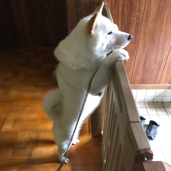 5dcee4e7 545e 417f b5a6 96fff0a47313 1534131562847