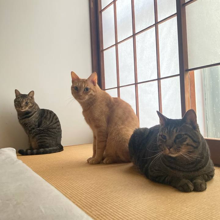 5dceec6e b575 423f bffb 517aac0f2eba 1756601153706