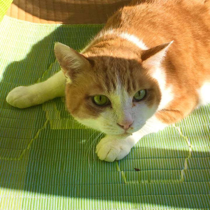 5dcef430 f242 4dad bf99 8a234ef00851 1614569319906