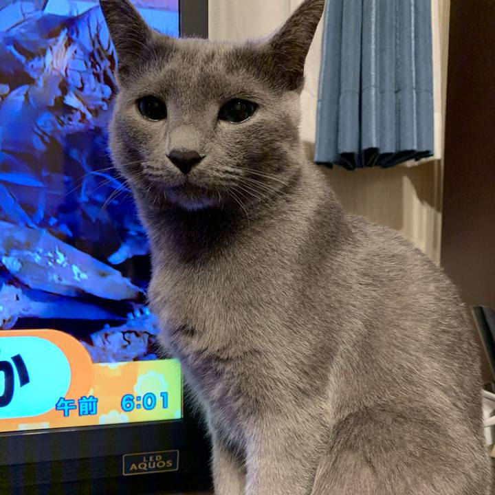 5dceff10 1b51 40a9 b327 30494469cad0 1578605209381