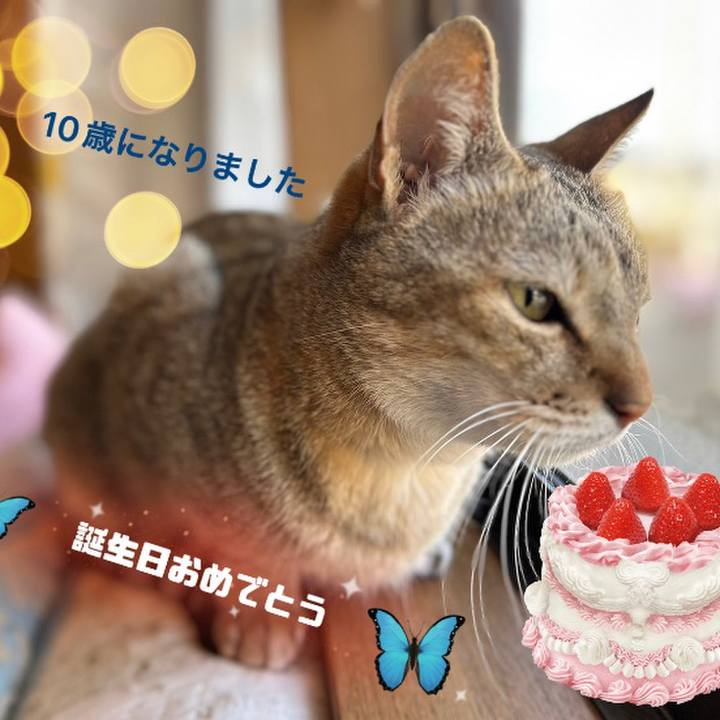 5dcf0ad6 f03f 4fe8 a6d5 1a3abbf21d97 1678246582130