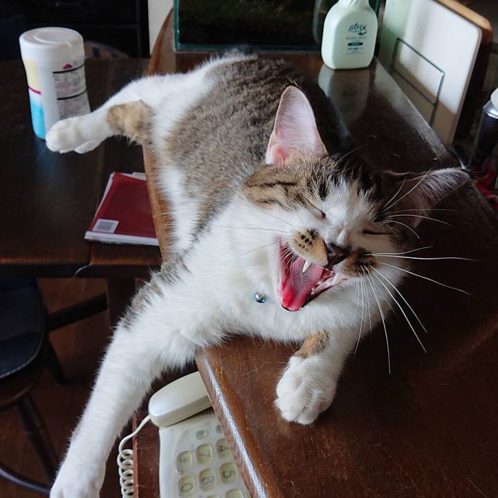 5dcf1439 b552 45d7 974d 755a8b970f28 1567913905531