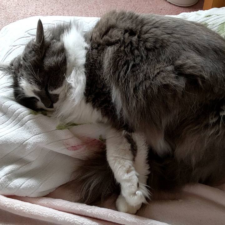 5dcf1a3d 3268 4c0b 8b41 64874cc811e5 1715634699975