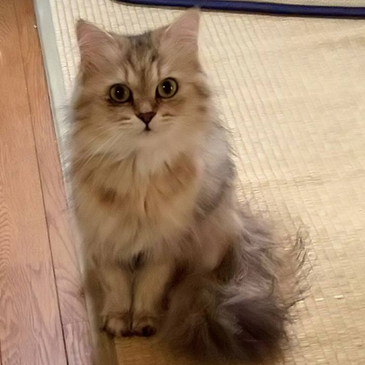 5dcf1fad 79eb 43cb 9e1a 972f0dadda69 1627723460017