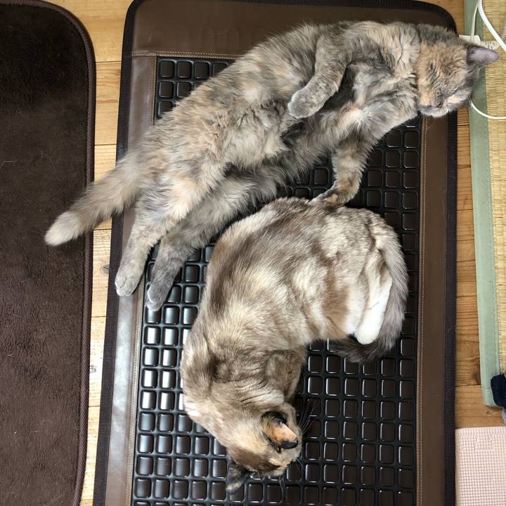 5dcf5bee 1104 466d 834a 4463ac280592 1743298021147