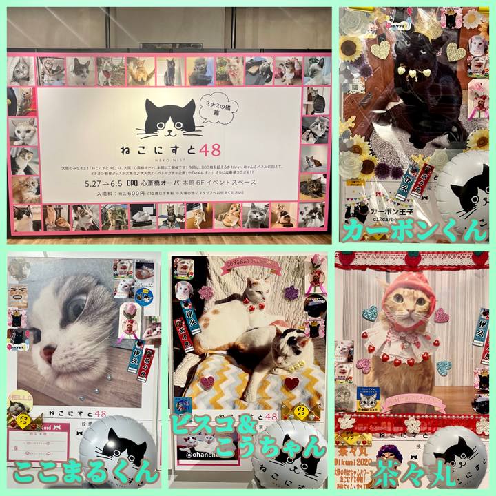 5dcf7f7f d256 4d65 96f4 d89a166fb0f9 1653649720110