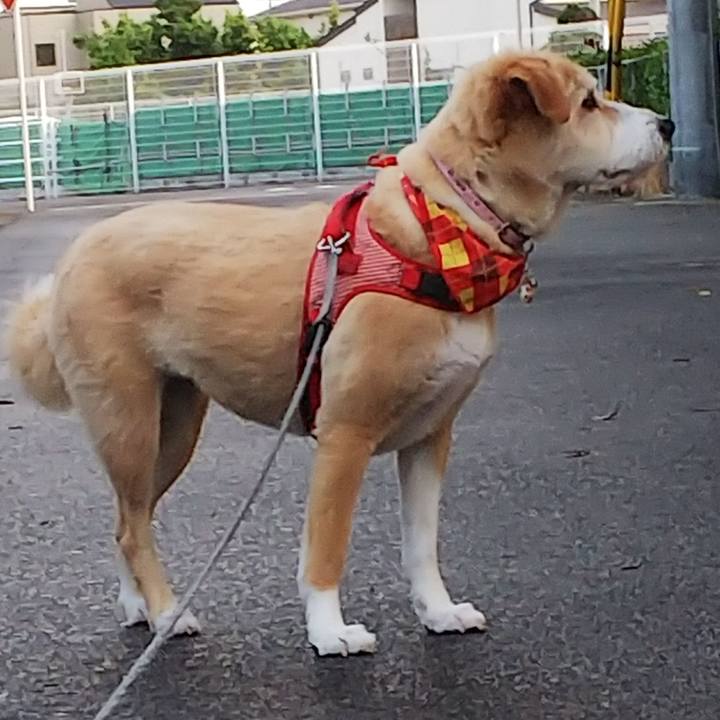 5dcf9f00 d434 49d3 9861 1f1e42548ce2 1560163769370