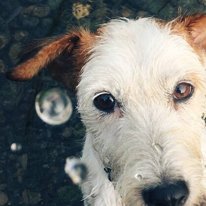 5dcfaddd 19f8 4597 b429 d7a629e854d1 1533560193034