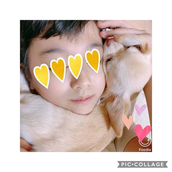 5dd0029a 34e1 4206 a84d 16f5d4780e28 1602050425632