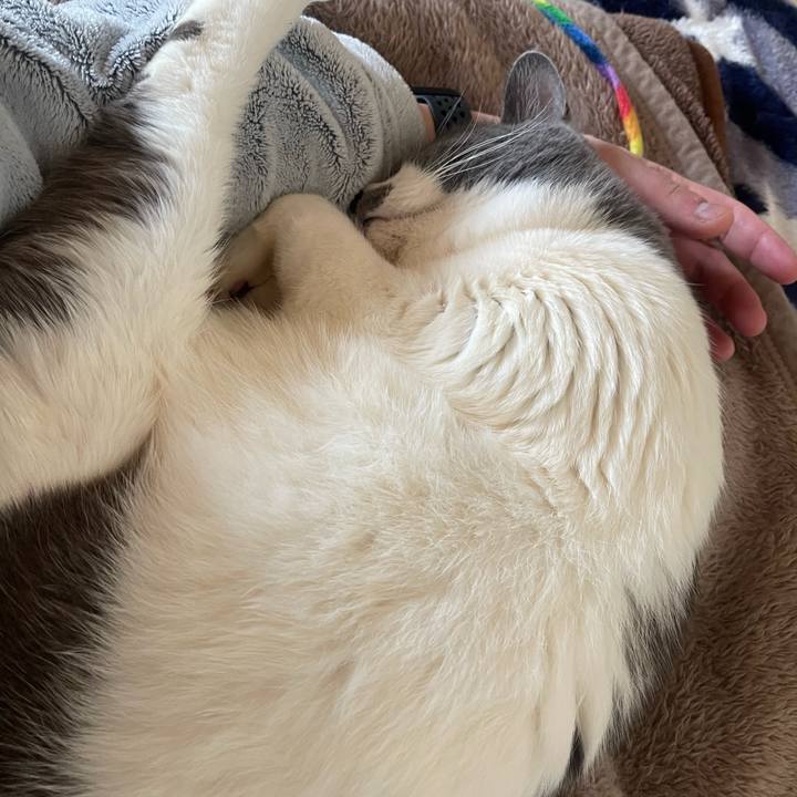 5dd01ca4 6f86 42ce 8a82 347f1994a71b 1740117232074