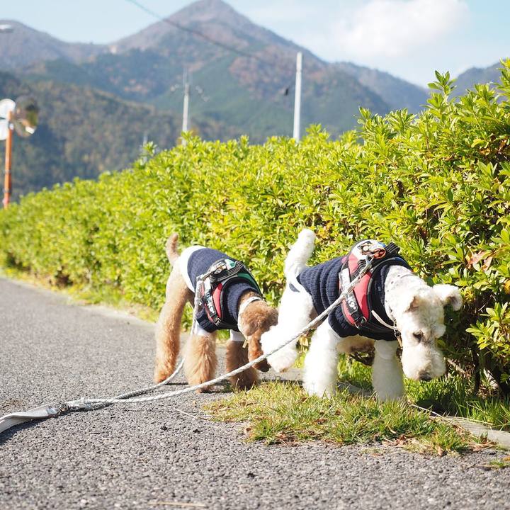 5dd01fe3 42aa 4eb6 ace6 24f22fa7dc1c 1574219812665