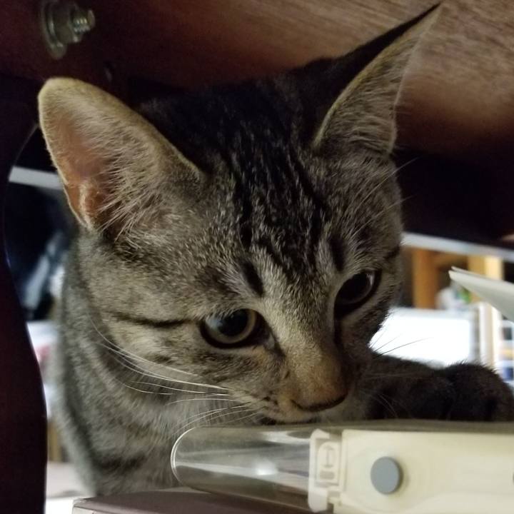 5dd0396d 4657 422c 9b22 eb2d4a74b3ea 1668785072578