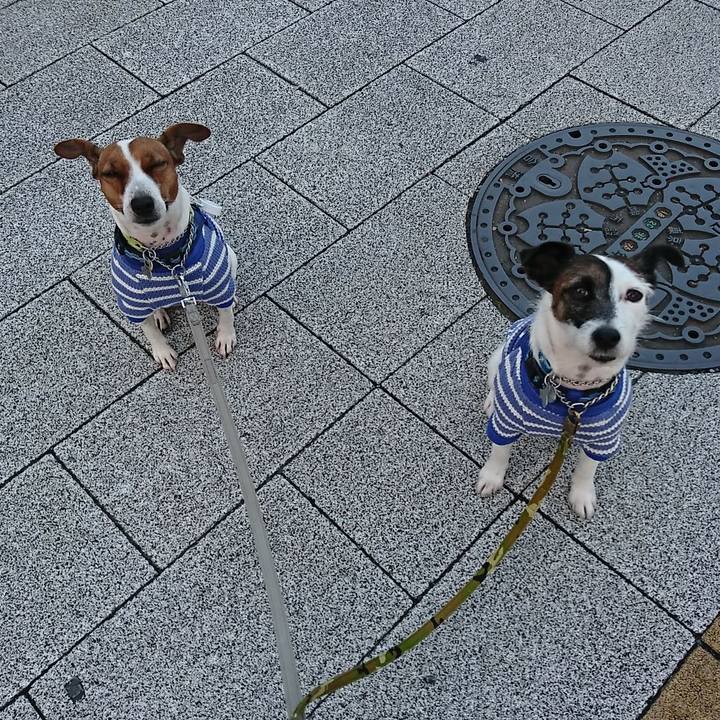 5dd066bc fa1c 4b9f b8f8 3887978ce965 1573249670038