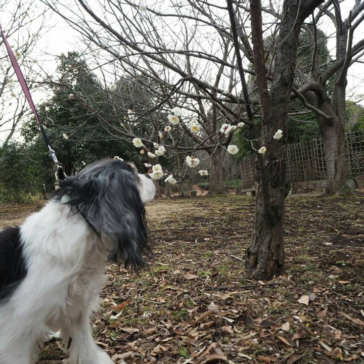 5dd0ae3c 45ba 48dd b5eb af929cbefa23 1517638716644