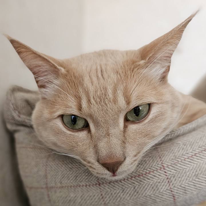 5dd0bef7 c80b 41cc bb27 7b0f95ae7c06 1705198720269