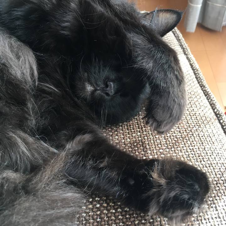 5dd0cfac f0a5 4964 bc7d 369a188bbbf5 1514951875062