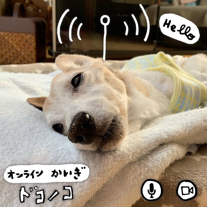 5dd10a6b 3f2a 404e 97c3 e7dd267d0372 1590890542955