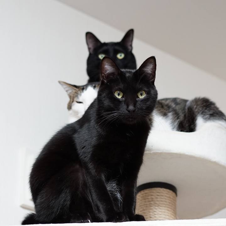 5dd1134b 22bf 43b4 b58d 93da03d835ce 1550805997671