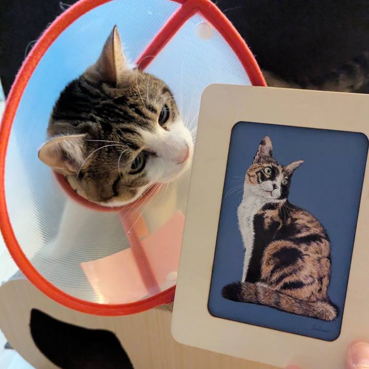 5dd115b7 ad39 4d4e a633 061450319fde 1765534132678