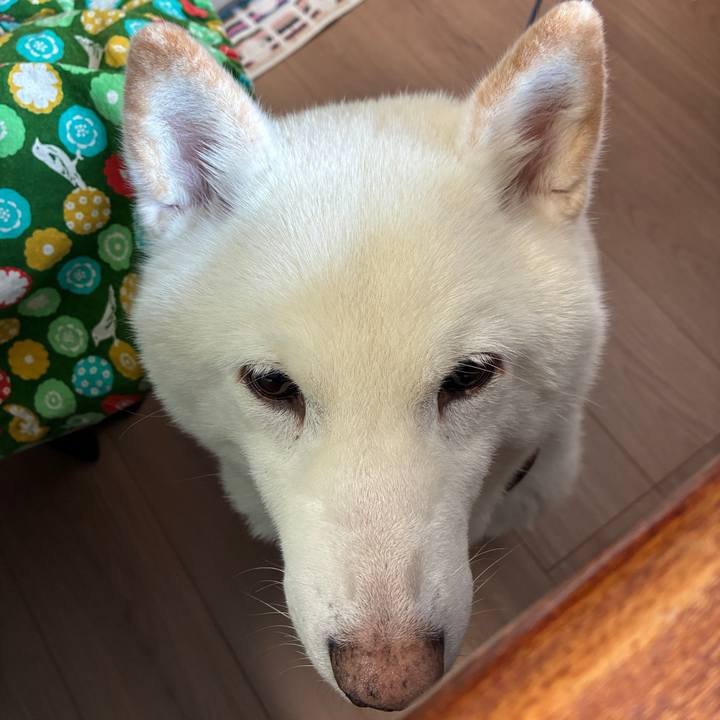 5dd12afc 6d9c 4fda af60 d116bc470219 1769915222793