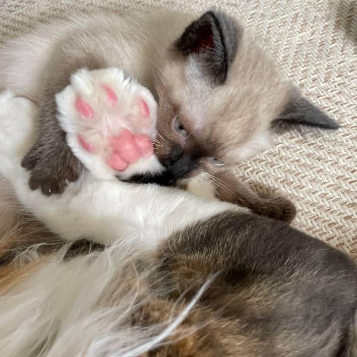 5dd136a8 03aa 47fa 9e46 27d8eb9ec348 1688198545429