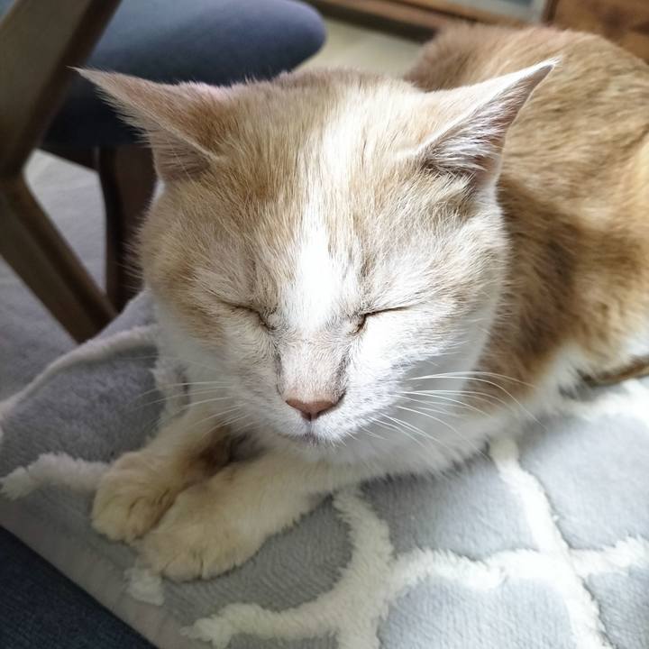 5dd14629 49f5 44e3 956d 654644fee3dc 1704459631574