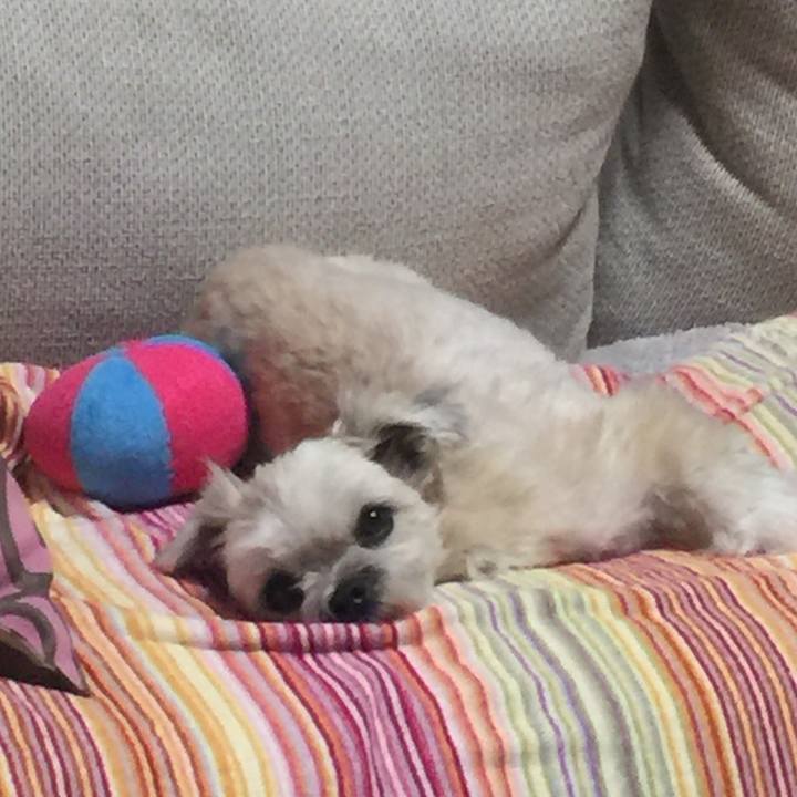 5dd168c6 2b2e 4863 9ad2 bcafce6d51b1 1543407605743