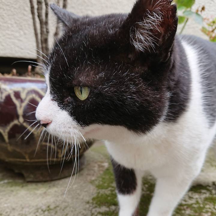 5dd1732c ac8c 42f6 9fe5 22b0e4e1aca8 1624678080799