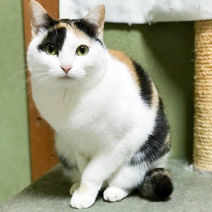 5dd19fc1 d281 4b86 b766 e77343bb1946 1517888502313