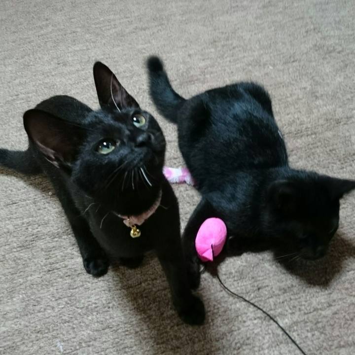 5dd1bd29 66a9 424e 8f8c 8f1e3f17c88c 1619266630661