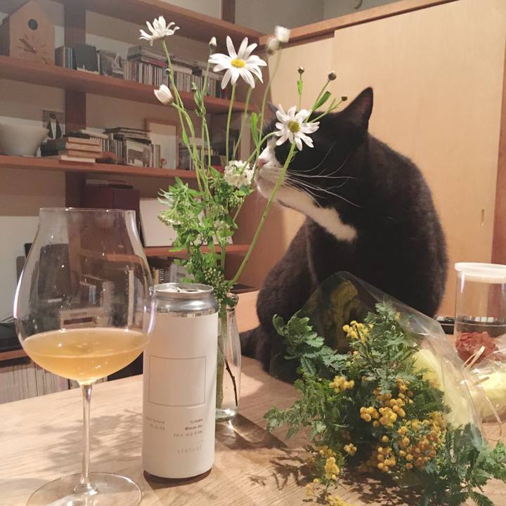 5dd1bea9 3ff7 4e03 aa4d 04f5c62e57c5 1583668946278