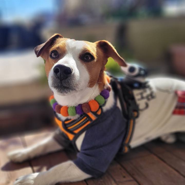 5dd1f098 7a16 491c 8d4c ad654db57181 1647009887748